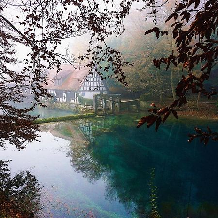 Ferienwohnung Reimann mit kostenloser AlbCard Blaubeuren Exterior foto